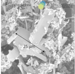 ReS2 vdW Powder - Image 2